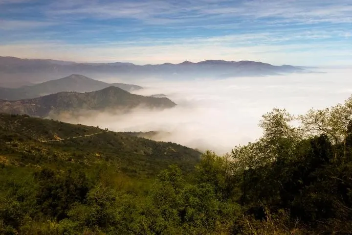 Nationalpark Fray Jorge an der Pazifikküste Chiles