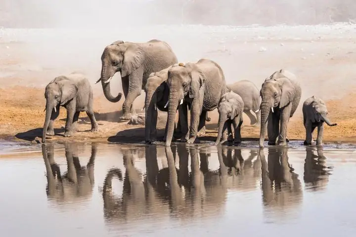 Namibia Impression 1