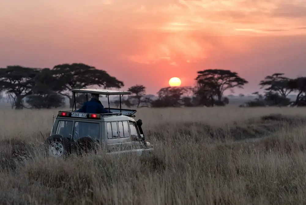 Luxusreisen Botswana – Elefanten und Wildnis im Okavango-Delta