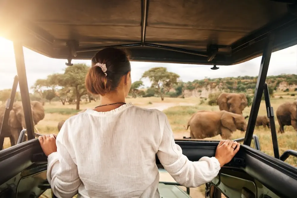 Luxusreise Tansania — exklusive Reise mit The New Luxury