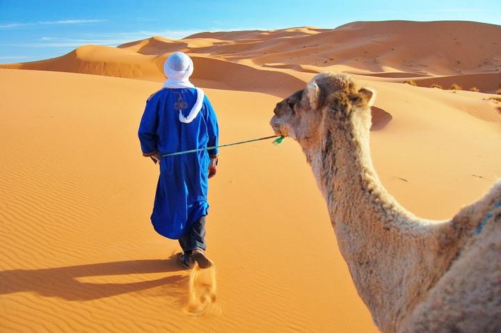 Berberführer in blauer Djellaba mit Dromedar in den roten Sanddünen von Erg Chebbi bei Merzouga, Sahara Marokko Berberführer in blauer Djellaba mit Dromedar in den roten Sanddünen von Erg Chebbi bei Merzouga, Sahara Marokko