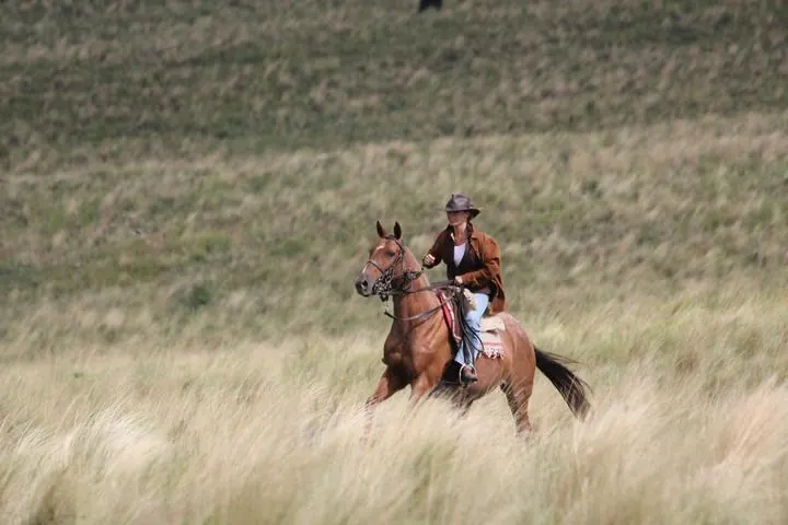 Gaucho-Ausritt durch die argentinische Pampa