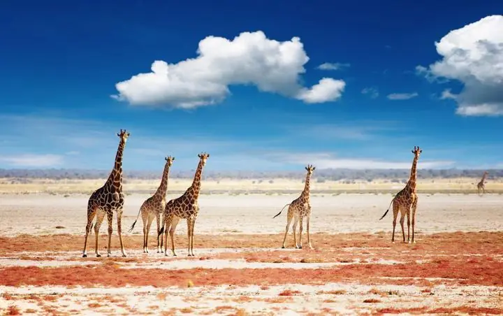 Namibia Impression 3