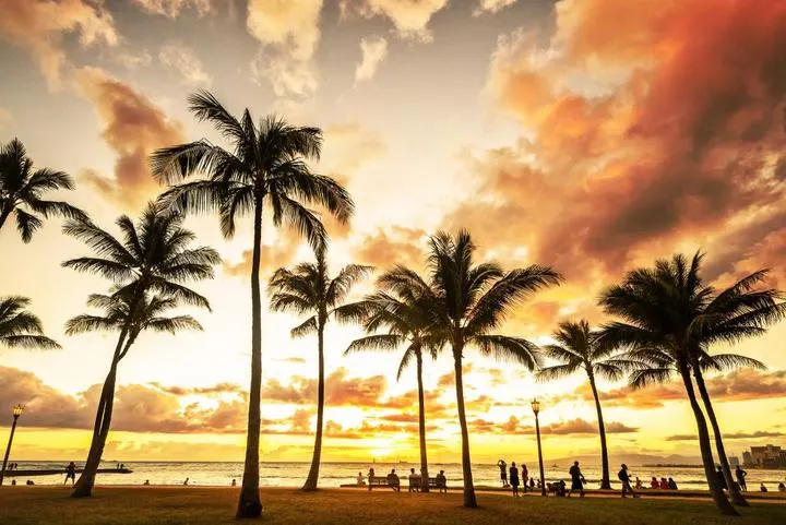 Sonnenuntergang über dem Pazifik mit Palmensilhouetten, Hawaii