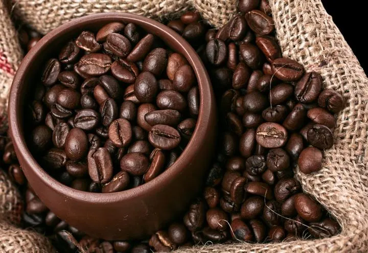 Kaffeeplantagen der Zona Cafetera mit Wachspalmen, Kolumbien