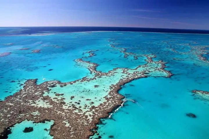 Great Barrier Reef mit Korallen und türkisem Wasser, Australien