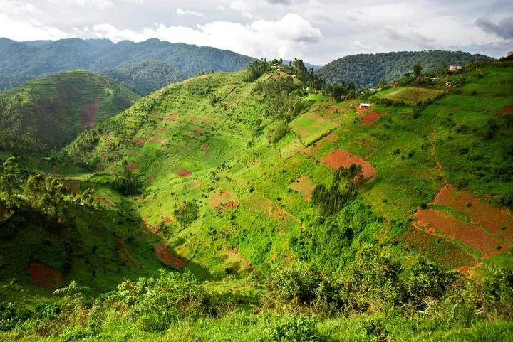 Uganda Impression 2